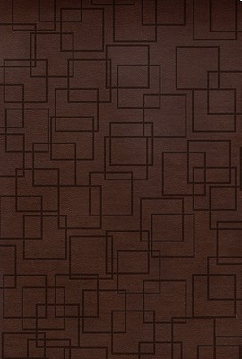 RVR 1960 Biblia Tamao Personal, geomtrico caf smil piel (Spanish Edition)