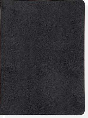Image for Flanders Black Leather Journal (Diary, Notebook)