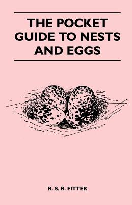 The Pocket Guide to Nests and Eggs