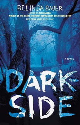 Image for Darkside: A Novel
