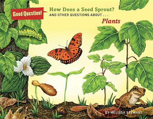 Image for How Does a Seed Sprout: And Other Questions About Plants (Good Question!) How Does a Seed Sprout: And Other Questions About Plants (Good Question!)