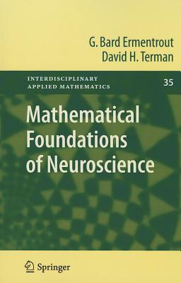 Mathematical Foundations of Neuroscience (Interdisciplinary Applied Mathematics, 35)
