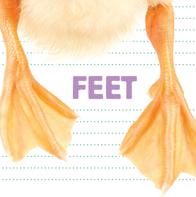 Feet (Whose Is It)