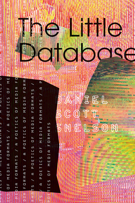 The Little Database: A Poetics of Media Formats (Electronic Mediations) (Volume 64)