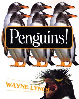 Image for Penguins!