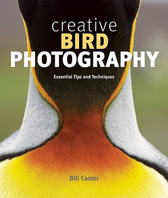 Creative Bird Photography: Essential Tips and Techniques