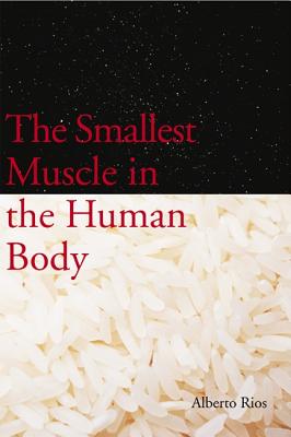 Image for The Smallest Muscle in the Human Body The Smallest Muscle in the Human Body