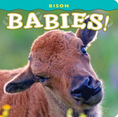 Image for Bison Babies! Bison Babies!