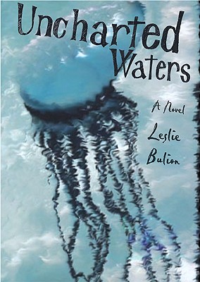 Image for UNCHARTED WATERS