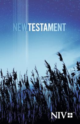 NIV, Outreach New Testament, Paperback, Blue