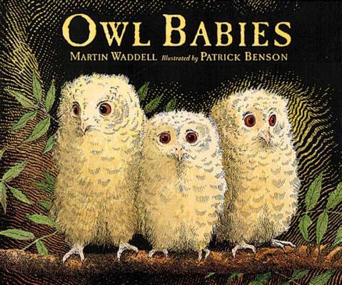 Image for Owl Babies Owl Babies