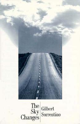 Sky Changes (American Literature (Dalkey Archive))
