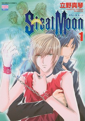 Image for Steal Moon Vol 1