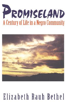 Image for Promiseland: A Century of Life in a Negro Community