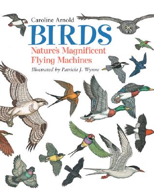 Image for Birds: Nature's Magnificent Flying Machines Birds: Nature's Magnificent Flying Machines