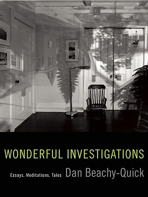 Wonderful Investigations: Essays, Meditations, Tales