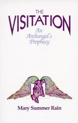 Image for The Visitation: An Archangel's Prophecy
