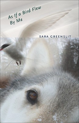 As If a Bird Flew By Me: A Novel