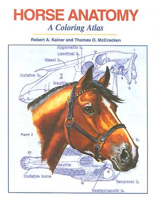Image for Horse Anatomy: A Coloring Atlas, 2nd Edition