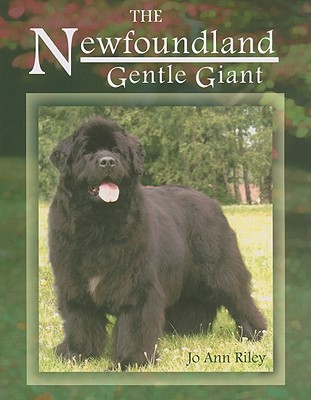 NEWFOUNDLAND GENTLE GIANT