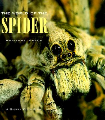 The World Of the Spider