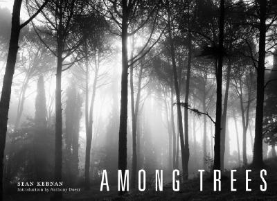 Among Trees