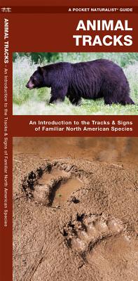 Image for Animal Tracks: A Folding Pocket Guide to the Tracks & Signs of Familiar North American Species (Wildlife and Nature Identification)