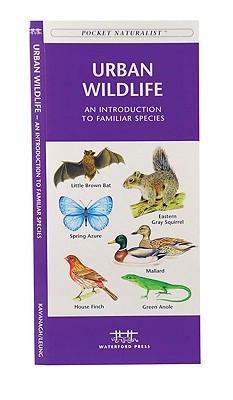 Urban Wildlife: A Folding Pocket Guide to Familiar Animals (Wildlife and Nature Identification)
