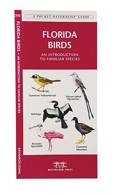 Florida Birds (Nature Observation North America)