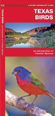 Image for Texas Birds: A Folding Pocket Guide to Familiar Species (Wildlife and Nature Identification) Texas Birds: A Folding Pocket Guide to Familiar Species (Wildlife and Nature Identification)
