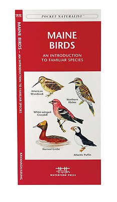Maine Birds: A Folding Pocket Guide to Familiar Species (Wildlife and Nature Identification)
