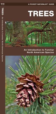 Trees: A Folding Pocket Guide to Familiar North American Plants (Nature Observation North America)
