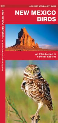 New Mexico Birds: A Folding Pocket Guide to Familiar Species (Nature Observation North America)