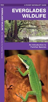 Image for Everglades Wildlife (Nature Observation North America) Everglades Wildlife (Nature Observation North America)