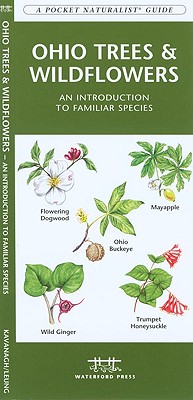 Image for Ohio Trees & Wildflowers: A Folding Pocket Guide to Familiar Plants (Nature Observation North America) Ohio Trees & Wildflowers: A Folding Pocket Guide to Familiar Plants (Nature Observation North America)