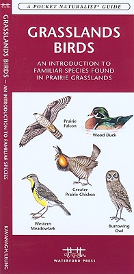 A Pocket Naturalist Guide Graslands Birds