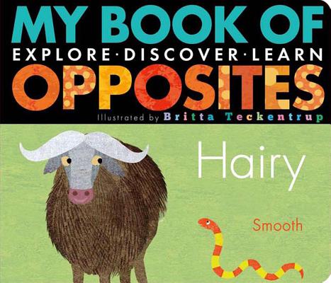Image for My Book of Opposites My Book of Opposites