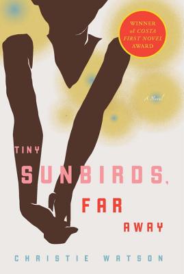 Tiny Sunbirds Far Away