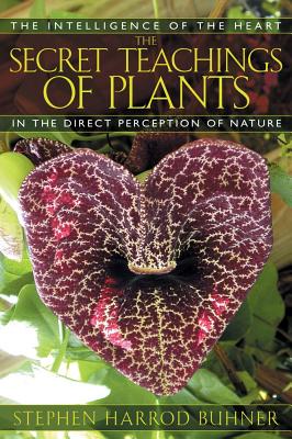 Secret Teachings Of Plants : The Intelligence Of The Heart In The Direct Perception Of Nature