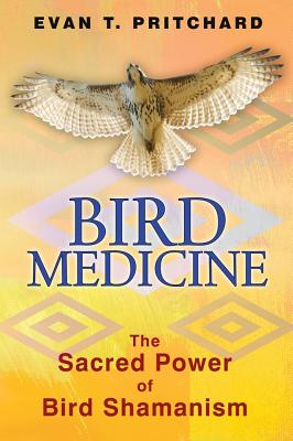 Image for Bird Medicine: The Sacred Power of Bird Shamanism