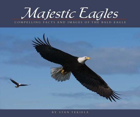 Majestic Eagles: Compelling Facts and Images of the Bald Eagle