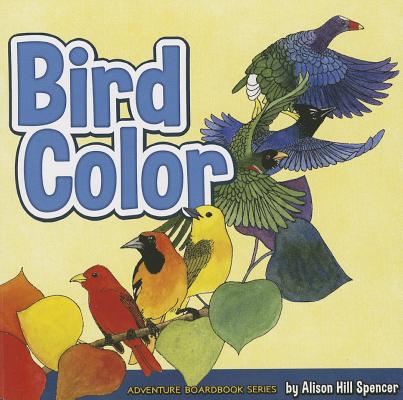 Bird Color (Adventure Boardbook Series)
