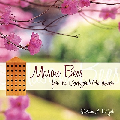Mason Bees For The Backyard Gardener