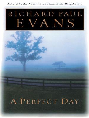 A Perfect Day
