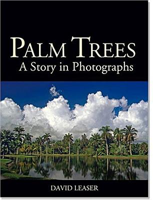 PALM TREES A STORY IN PHOTOGRAPHS