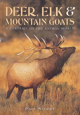 Deer Elk & Mountain Goats (The Portrait Of The Animal World)