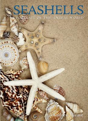 Seashells (A Portrait of the Natural World)