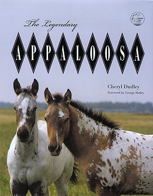 Legendary Appaloosa