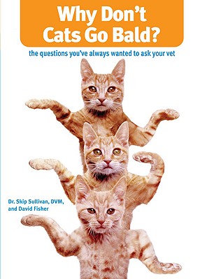 Why Don't Cats Go Bald: The Questions You've Always Wanted to Ask Your Vet