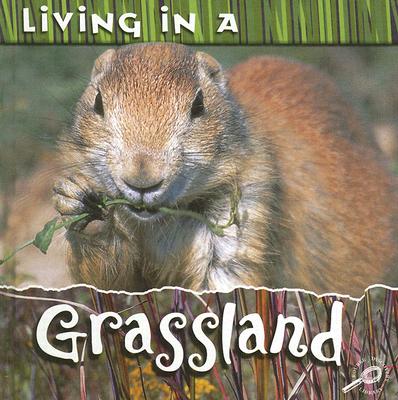 Living in a Grassland
